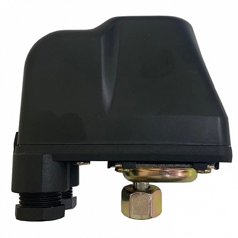 Реле давления TPS3-2 PUMPMAN (00-00009305) Реле давления TPS3-2 PUMPMAN (00-00009305)