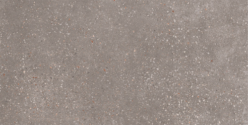 GT184VG Керамогранит Coral Rock_GT Темно-серый 30x60 _ 1\58,32 фото 4