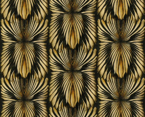 Обои Roberto Cavalli 8 19001 (1.06м*10.05м)